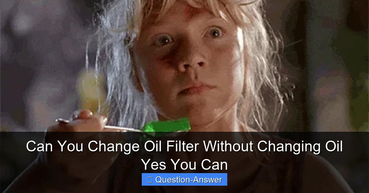 Can You Change Oil Filter Without Changing Oil Yes You Can
