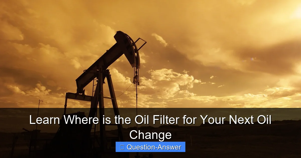Learn Where is the Oil Filter for Your Next Oil Change