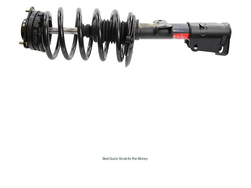 best quick struts for the money