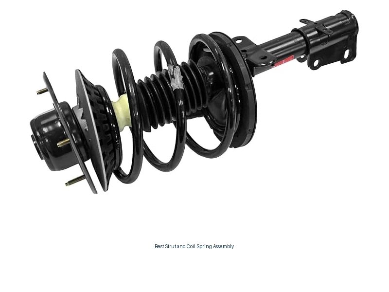 best strut and coil spring assembly