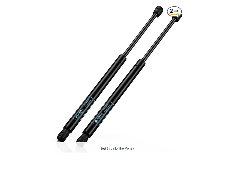 best struts for the money